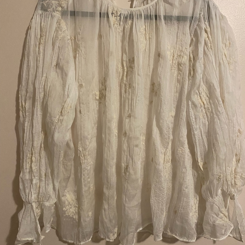 Zara Cream Sheer Blouse